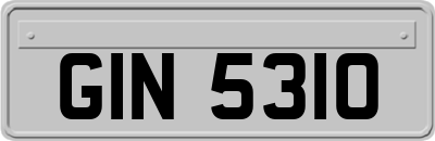 GIN5310