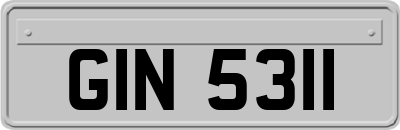 GIN5311