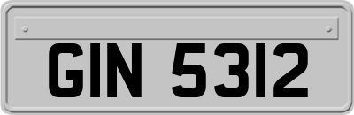 GIN5312