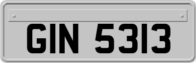 GIN5313