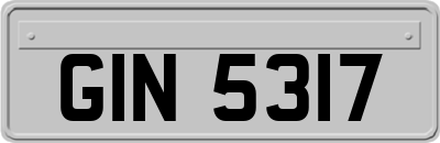 GIN5317