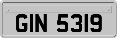 GIN5319