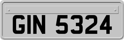 GIN5324