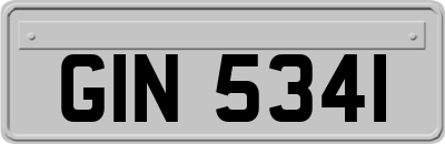 GIN5341
