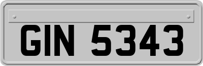 GIN5343