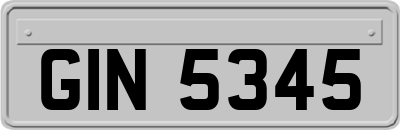 GIN5345