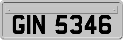 GIN5346