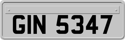 GIN5347