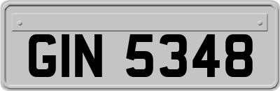 GIN5348