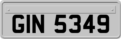 GIN5349