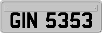 GIN5353