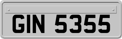 GIN5355