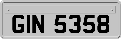 GIN5358