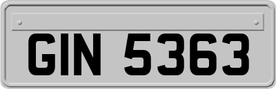 GIN5363