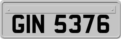 GIN5376