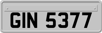 GIN5377