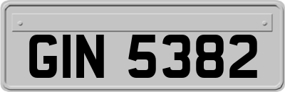 GIN5382