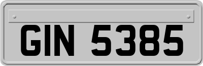 GIN5385