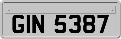 GIN5387