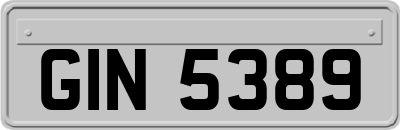 GIN5389