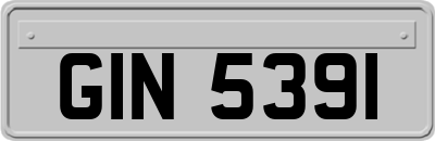 GIN5391
