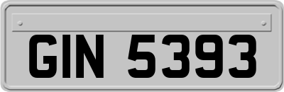 GIN5393