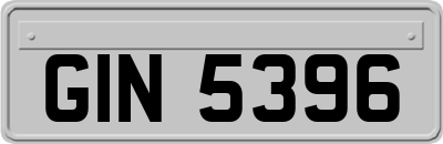 GIN5396