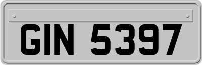 GIN5397