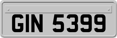 GIN5399