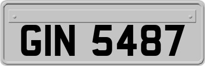GIN5487