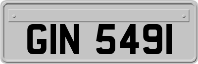 GIN5491