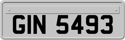 GIN5493