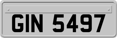 GIN5497