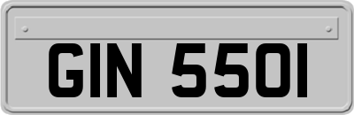 GIN5501