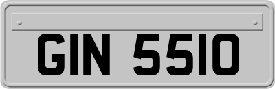 GIN5510