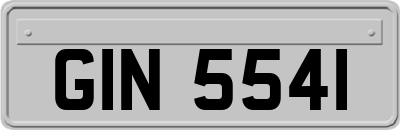 GIN5541