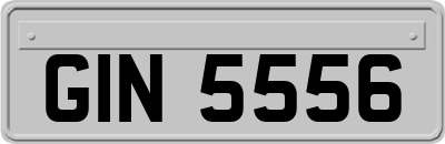 GIN5556