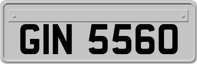 GIN5560