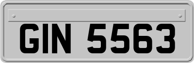 GIN5563