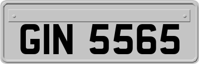 GIN5565