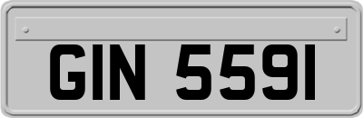 GIN5591