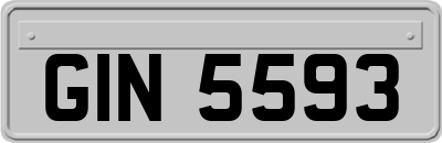GIN5593