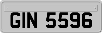GIN5596