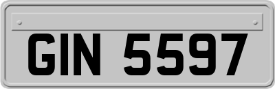 GIN5597
