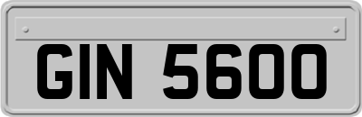 GIN5600