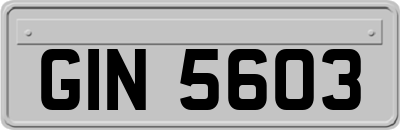 GIN5603