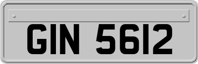 GIN5612