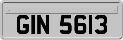 GIN5613