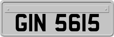 GIN5615