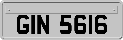 GIN5616